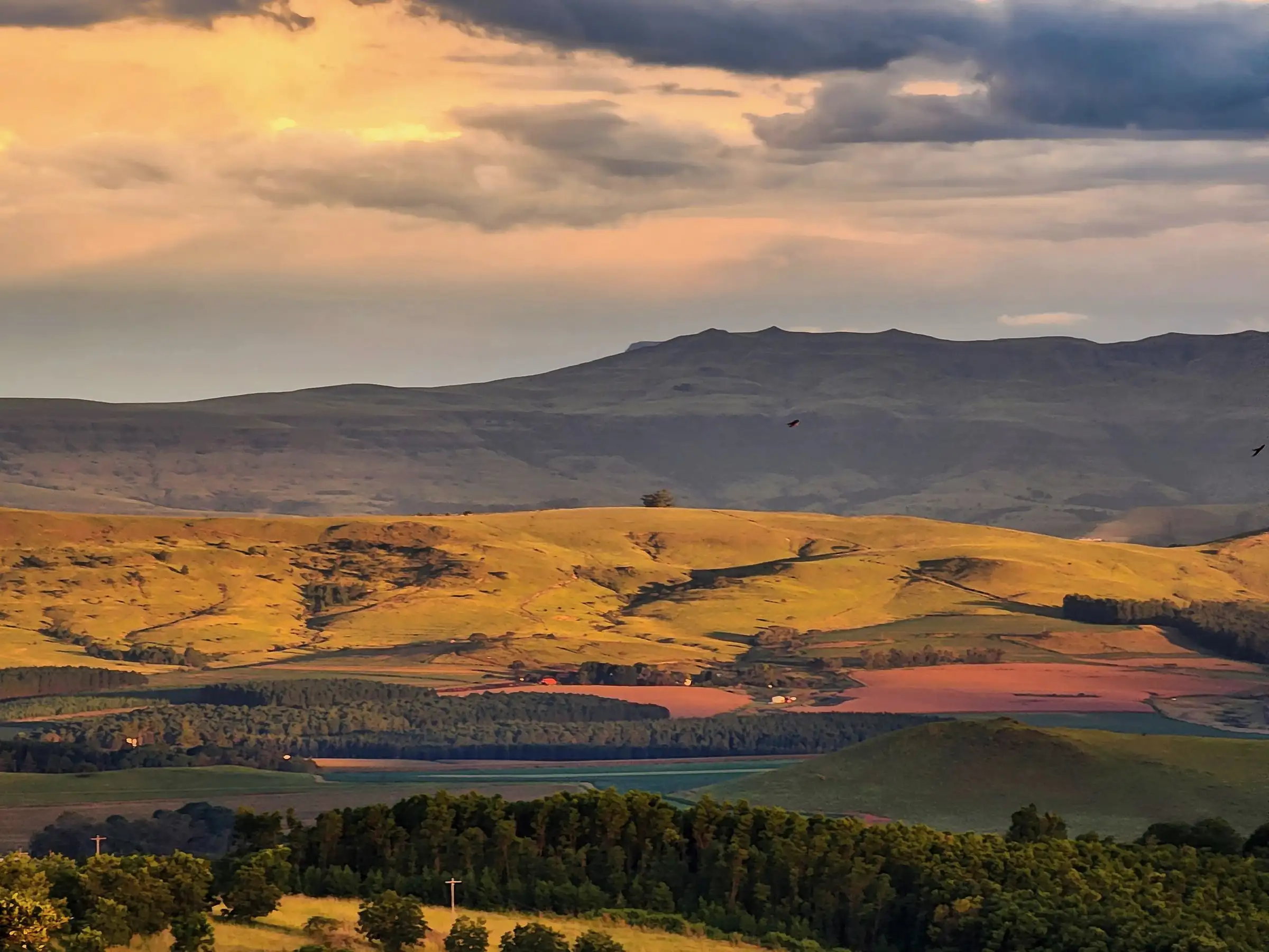 Drakensberg foothills in late light, with the escarpment behind