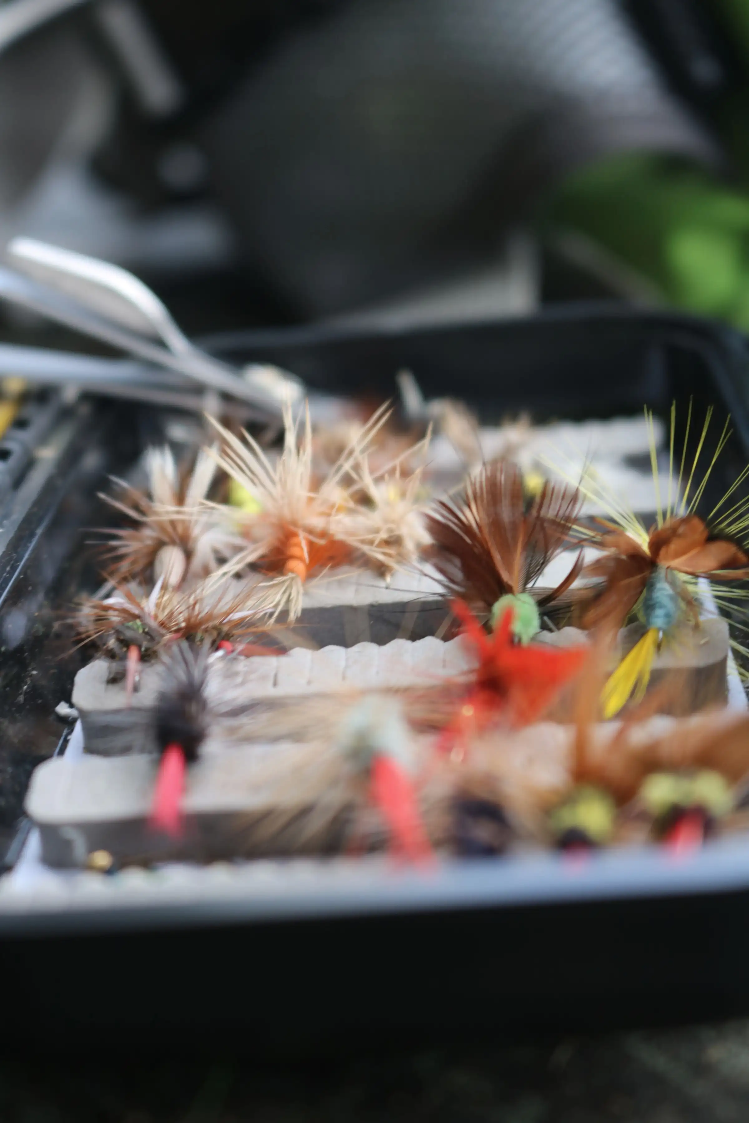 A fly box of dry flies and nymphs, close up