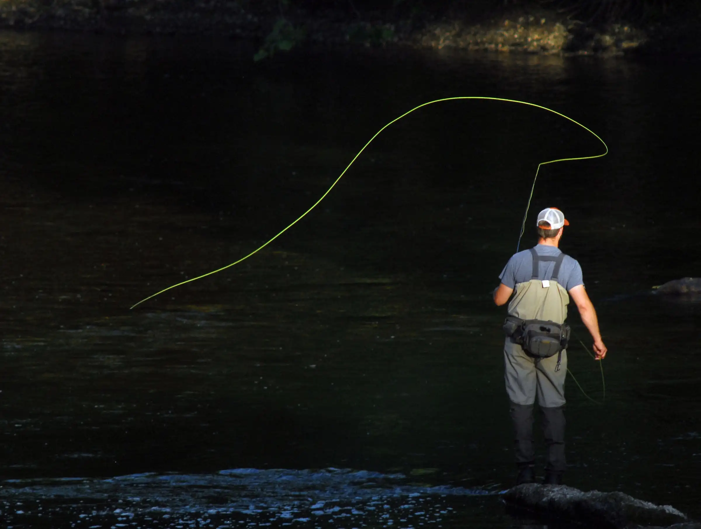 A fly line unrolling in a tight loop over a dark river