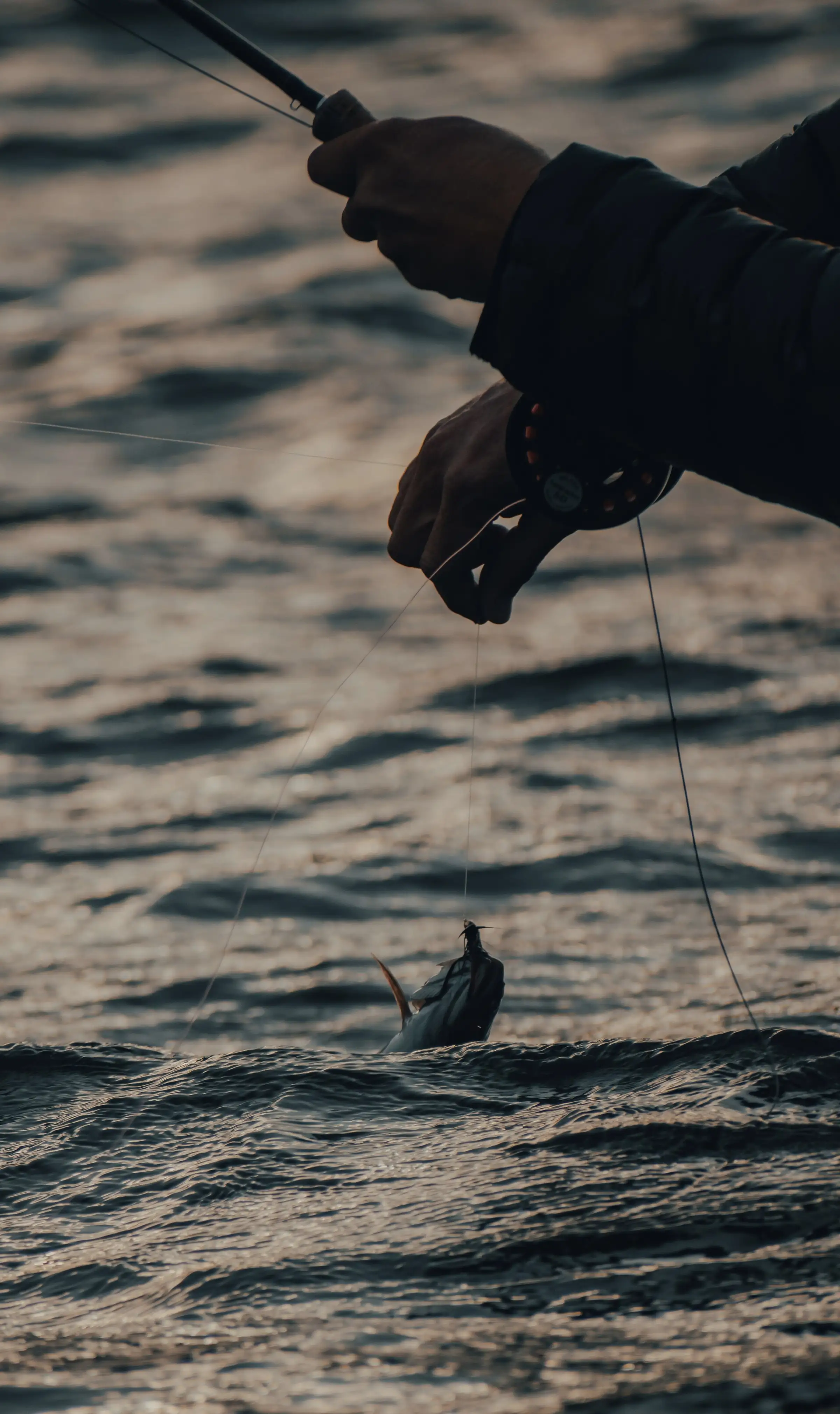 A hand holding a fishing line tight above the water