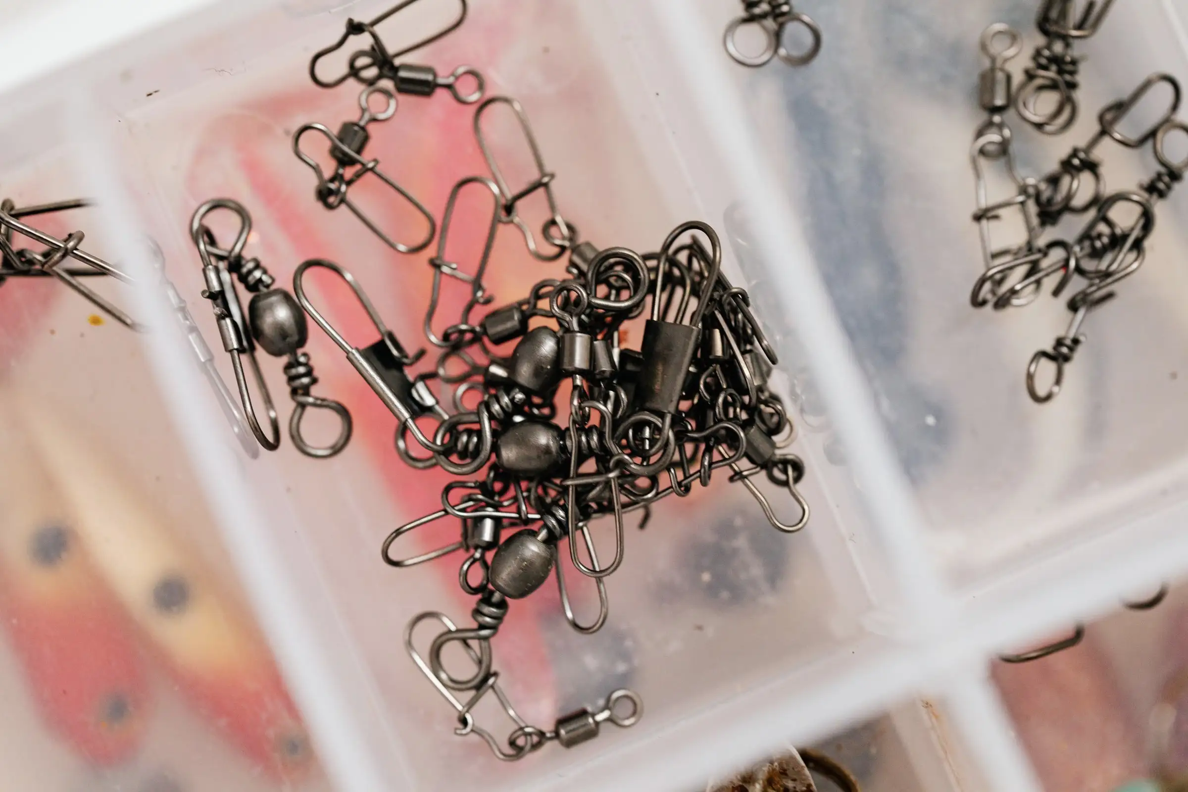 Swivels and snaps in a clear tackle box compartment